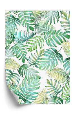 Tapeta Zielone tropikalne liście