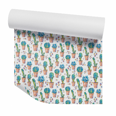 Tapeta Kaktusy doniczki kamyki