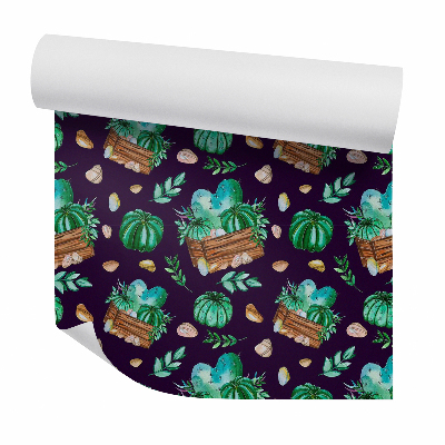 Okleina samoprzylepna na ścianę Kaktusy w doniczkach drewianych ciemne