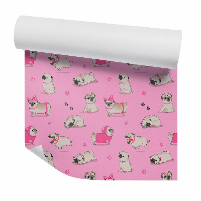 Okleina samoprzylepna na ścianę Pies mops w ubranku