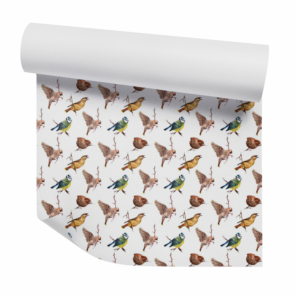 Tapeta Wróble i inne ptaki