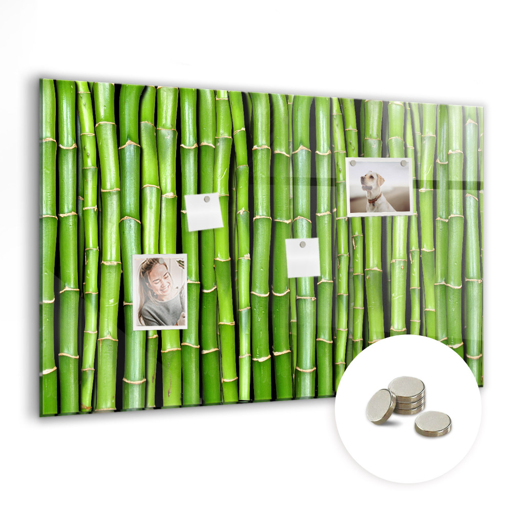 Tablica magnetyczna na ścianę Zielone pędy bambusa