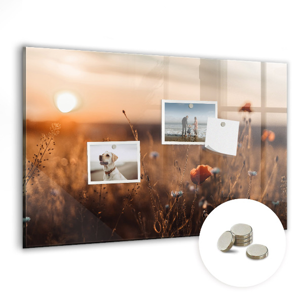 Tablica magnetyczna z magnesami Wschód słońca pole