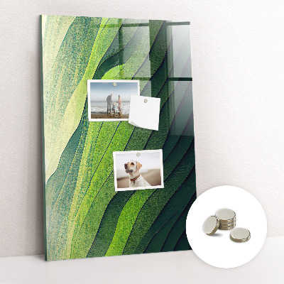 Tablica magnetyczna na ścianę Zielone pasma natura