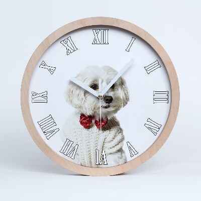 Nowoczesny zegar ścienny Maltańczyk w muszce