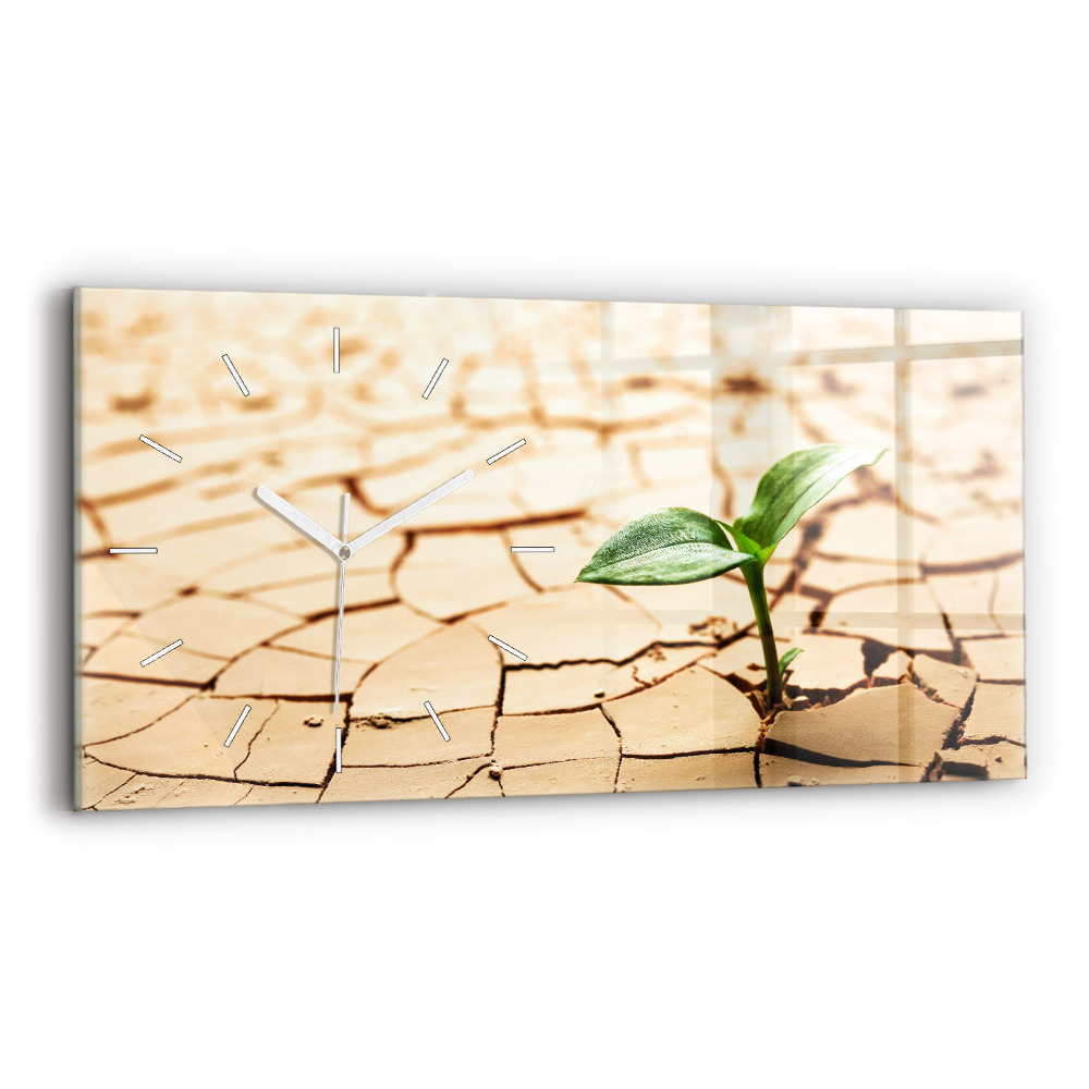 Zegar szklany Roślina w wysuszonej ziemi