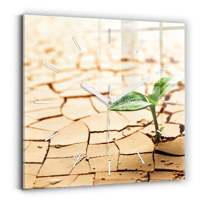 Zegar szklany Roślina w suchej ziemi